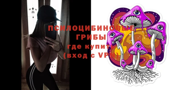 гашик Баксан
