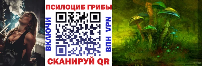 Псилоцибиновые грибы прущие грибы  Городовиковск 